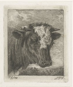Kopf einer Kuh mit weißer Stirn von Jacobus Cornelis Gaal
