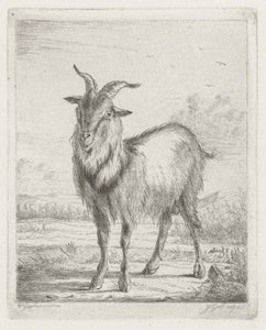 Stehende Ziege von Jacobus Cornelis Gaal