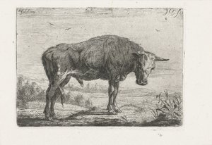 Stehender Stier von Jacobus Cornelis Gaal