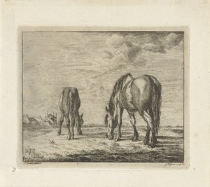 Zwei grasende Pferde von Jacobus Cornelis Gaal