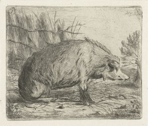Sitzendes Wildschwein von Jacobus Cornelis Gaal