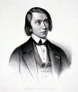 Porträt von Josephus Hermanus Verhulst (1816-91)
