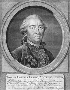 Georges-Louis Leclerc, Comte de Buffon, 1774 von Jacobus Houbraken