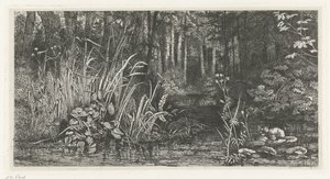 Waldgebirgsbach von Jacobus Ludovicus Cornet