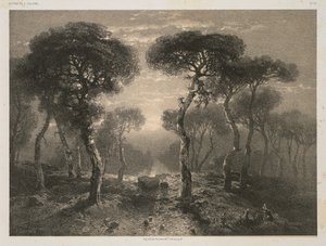 Werke von A. Calame, Nr. 13: Wald von Sierre im Wallis von Jacomme and Cie. R. de Lancry, 12, Paris