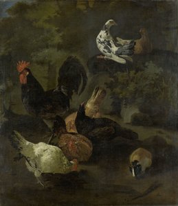 Ein Hahn, Hennen, Tauben und ein Murmeltier von Jacomo Victors