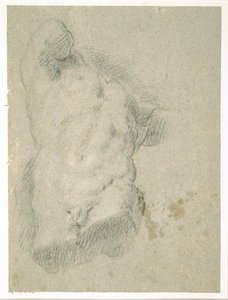 Zeichnung eines männlichen Torsos