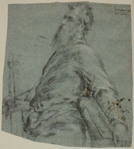 Halbfigur-Studie für den Heiligen Paulus von Jacopo Bassano
