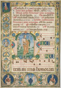 Blatt aus einem Graduale: Initiale (M) mit St. Andreas (recto)