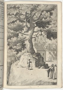 Buchenbaum mit der Glocke [Tafel X]