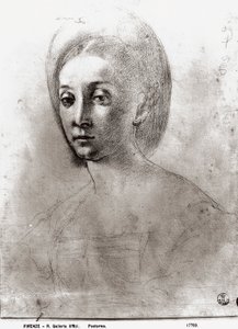 Kopf einer Frau von Jacopo Pontormo