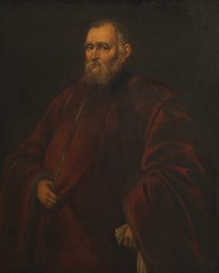 Porträt eines venezianischen Prokurators von Jacopo Robusti Tintoretto