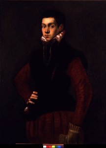 Porträt eines jungen Mannes, um 1565