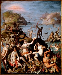 Korallenfischen von Jacopo Zucchi