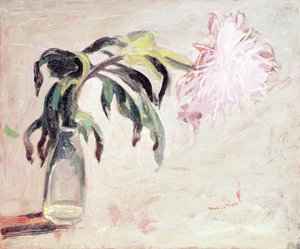 Eine Chrysantheme in einer Flasche