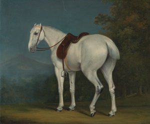 Der Graue Jäger einer Dame von Jacques-Laurent Agasse