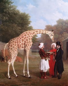 Die nubische Giraffe von Jacques-Laurent Agasse