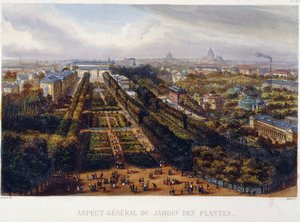 Ansicht des Jardin des Plantes - Lithografie von Testard