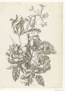 Blumenstrauß mit Pfingstrosen, einer Tulpe und einer Brodiaea