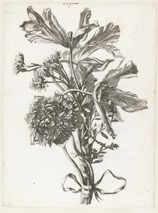 Blumenstrauß mit verblühten Tulpen, einer Anemone und Immortellen (Diverses Fleurs mises en Boucquets)