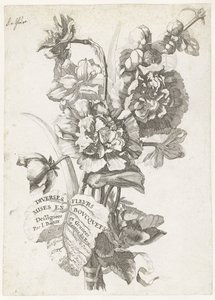 Titelblatt mit einem Blumenstrauß aus Pfingstrosen