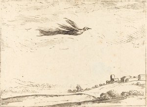 Paradiesvogel von Jacques Callot