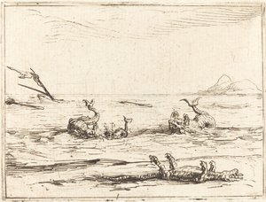 Delfine und Krokodil