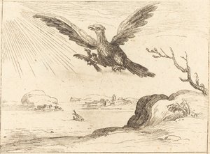 Adler und Junges