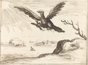 Adler und Junges