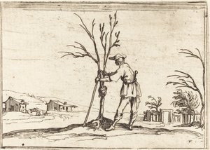 Gärtner beim Baumschnitt