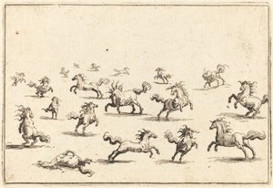 Pferde im Galopp