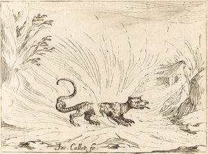 Salamander umgeben von Flammen von Jacques Callot