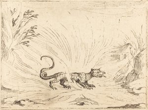 Salamander umgeben von Flammen von Jacques Callot