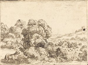Schaf ruft Lamm von Jacques Callot
