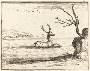 Hirsch im Wasser von Jacques Callot
