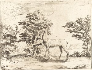 Die Hirschkuh von Jacques Callot