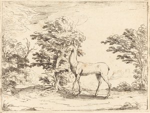 Die Hirschkuh von Jacques Callot