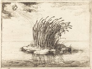 Die Schilfrohre und der Wind von Jacques Callot