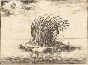 Die Schilfrohre und der Wind von Jacques Callot