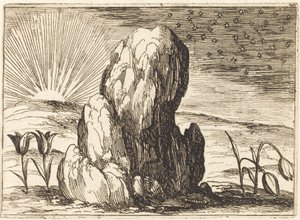 Die Tulpen und die Sonne, 1628