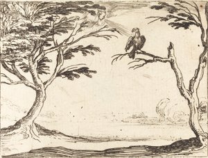 Der Geier von Jacques Callot