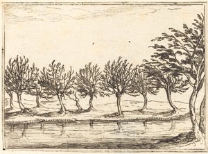 Weiden am Wasserufer von Jacques Callot