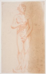 Stehende Venus von Jacques Francois Joseph Saly