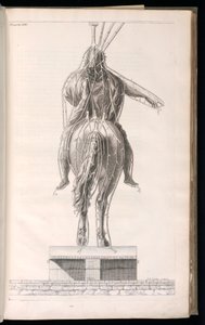 Gebundener Druck (Frankreich) von Jacques François Blondel
