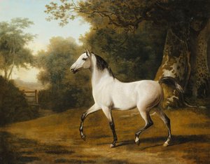 Ein grauer arabischer Hengst in einer bewaldeten Landschaft von Jacques Laurent Agasse
