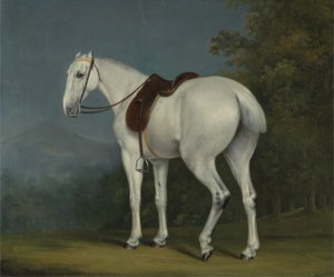 Der Graue Jäger einer Dame, ca. 1806 von Jacques Laurent Agasse