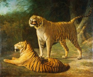Ein Tiger und eine Tigerin im Exeter Change Menagerie, 1808 von Jacques Laurent Agasse