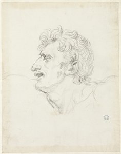 Kopf eines Mannes, linkes Profil von Jacques Louis David