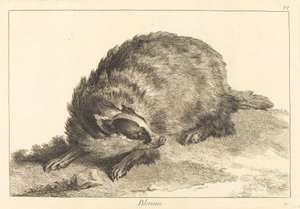Blereau (Dachs) von Jacques Philippe Le Bas and Jean Eric Rehn after Jean Baptiste Oudry