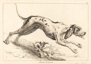Laufender Hund